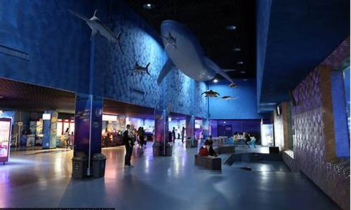 秦皇岛海底世界和海洋馆哪个好_秦皇岛海底世界和海洋馆哪个好玩