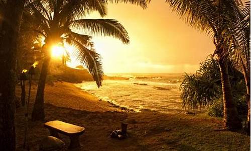 夏威夷旅游景点排名_夏威夷旅游景点排名前十